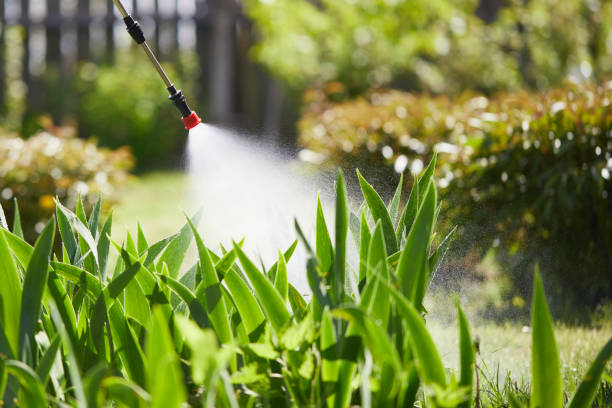 Tamper-Resistant Bait Stations for Rodents in Massac