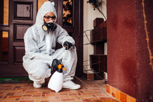 Attic and Crawl Space Rodent Treatment in Massac