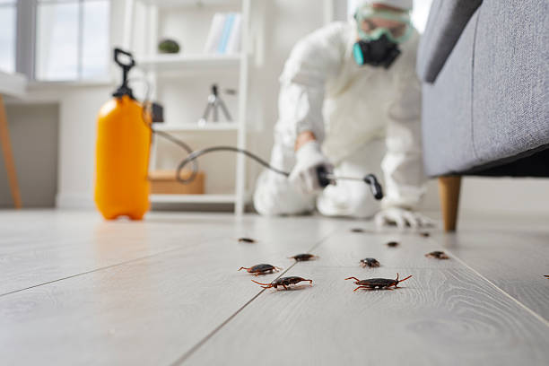 Commercial Rodent Management in Massac